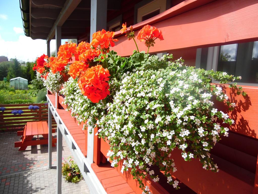 Zalie Abolisi Hotel Ventspils Bagian luar foto